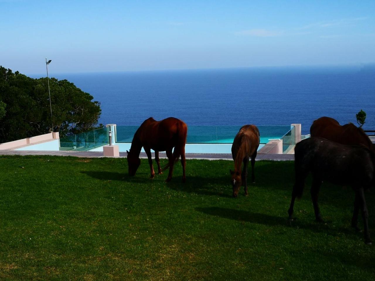 Tsitsikamma On Sea Resort Witelsbos Exteriör bild